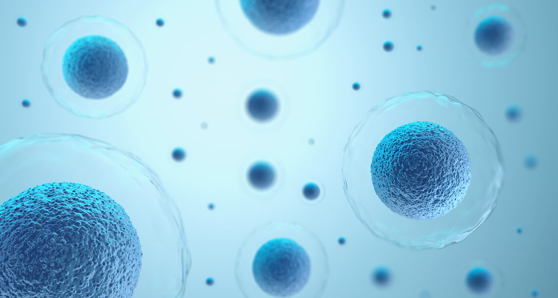 Microscopic view of biosimilar cells